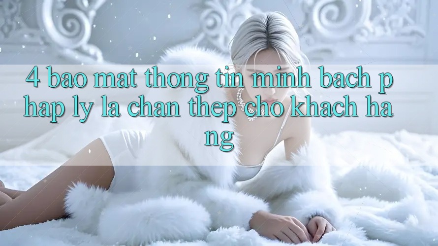 4. Bảo Mật Thông Tin & Minh bạch Pháp Lý: Lá Chắn Thép Cho Khách hàng