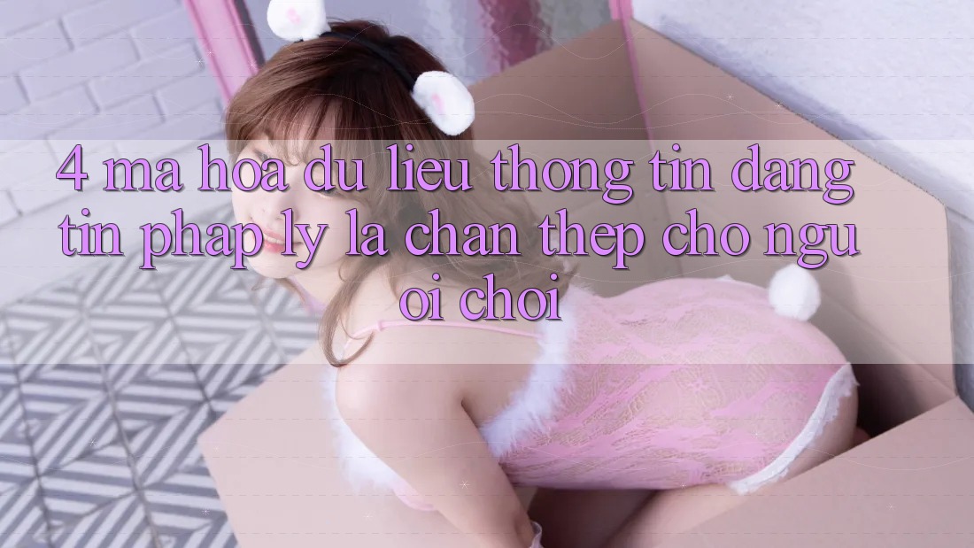 4. Mã hóa dữ liệu Thông Tin & Đáng tin Pháp Lý: Lá Chắn Thép Cho Người Chơi