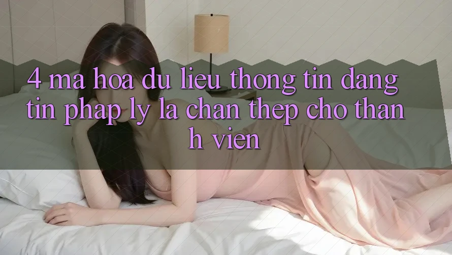 4. Mã hóa dữ liệu Thông Tin & Đáng tin Pháp Lý: Lá Chắn Thép Cho Thành viên