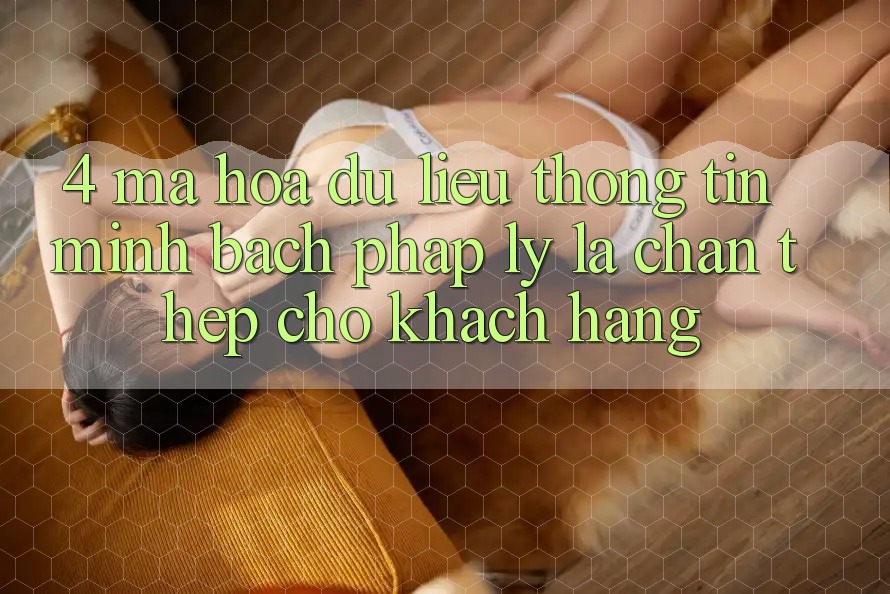 4. Mã hóa dữ liệu Thông Tin & Minh bạch Pháp Lý: Lá Chắn Thép Cho Khách hàng