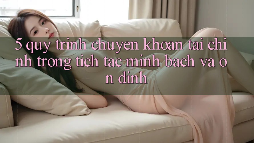 5. Quy Trình Chuyển khoản Tài Chính: Trong tích tắc, Minh Bạch Và Ổn định