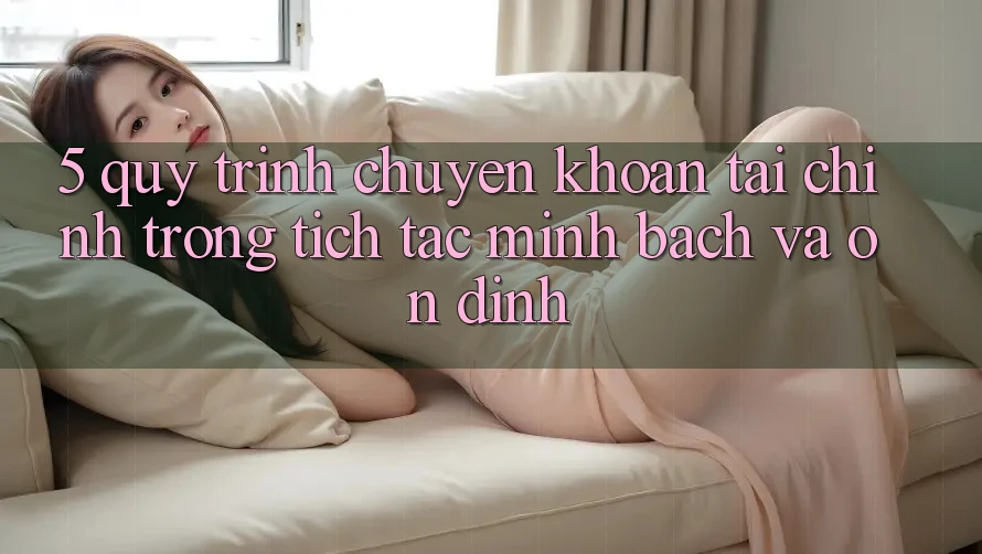 5. Quy Trình Chuyển khoản Tài Chính: Trong tích tắc, Minh Bạch Và Ổn định