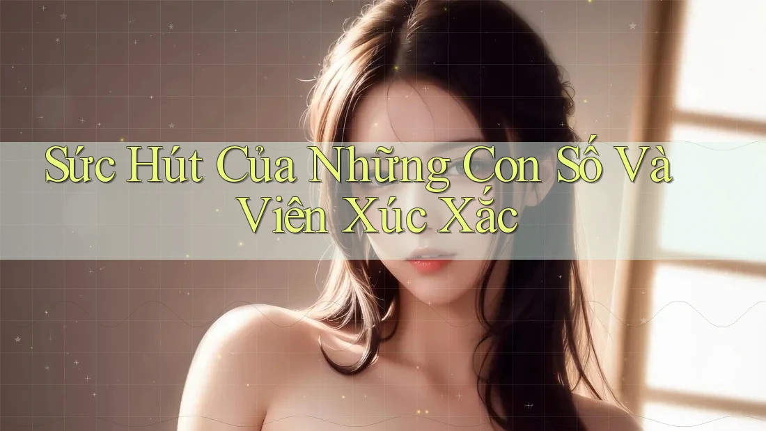 Sức Hút Của Những Con Số Và Viên Xúc Xắc