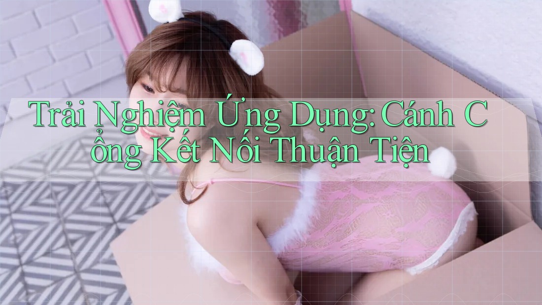 Trải Nghiệm Ứng Dụng: Cánh Cổng Kết Nối Thuận Tiện